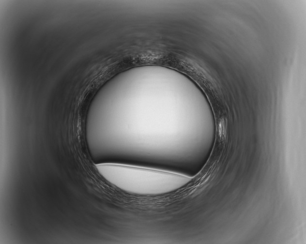 X0000096181299200801180842