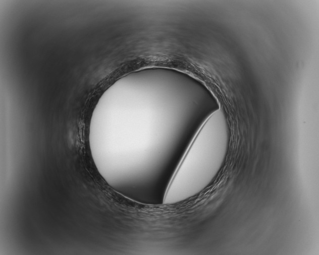 X0000096181301200801180842