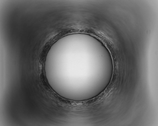 X0000096181302200801180842