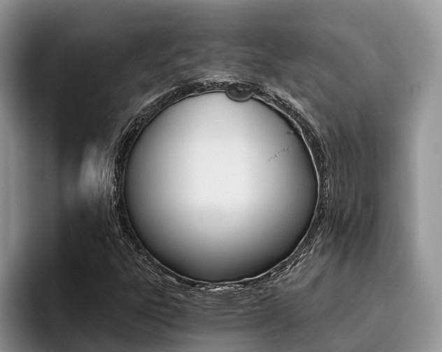 X0000096181303200801180842