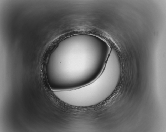 X0000096181304200801180842