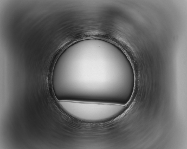 X0000096181305200801180842