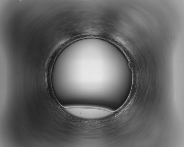 X0000096181307200801180842