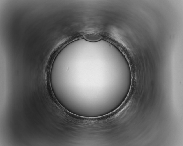 X0000096181309200801180842