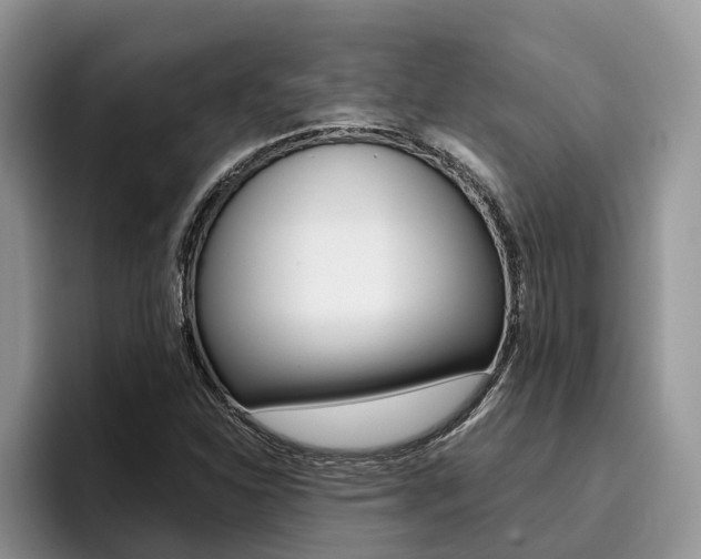 X0000096181310200801180842