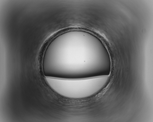X0000096181311200801180842