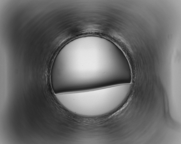 X0000096181313200801180842