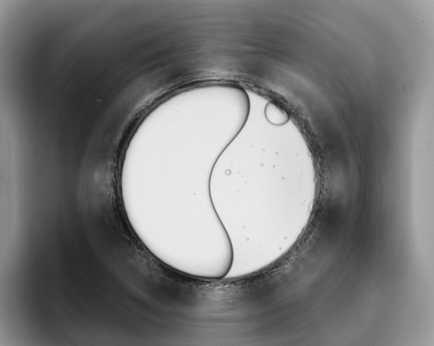X0000096181314200801180842
