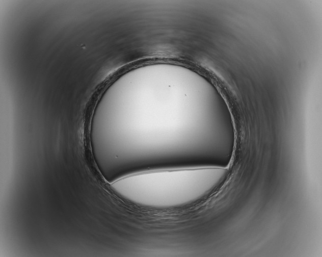 X0000096181315200801180842