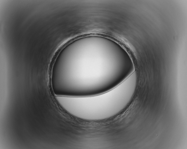 X0000096181316200801180842