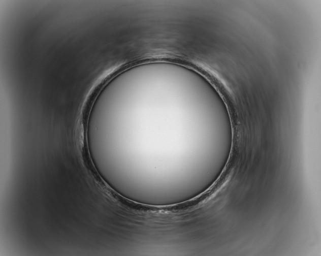 X0000096181317200801180842