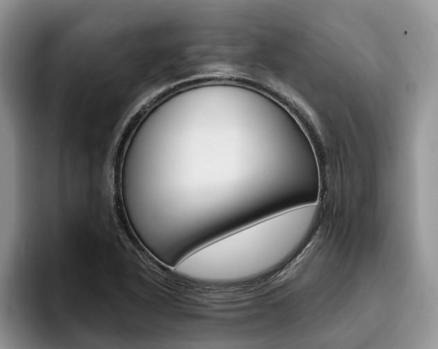 X0000096181318200801180842