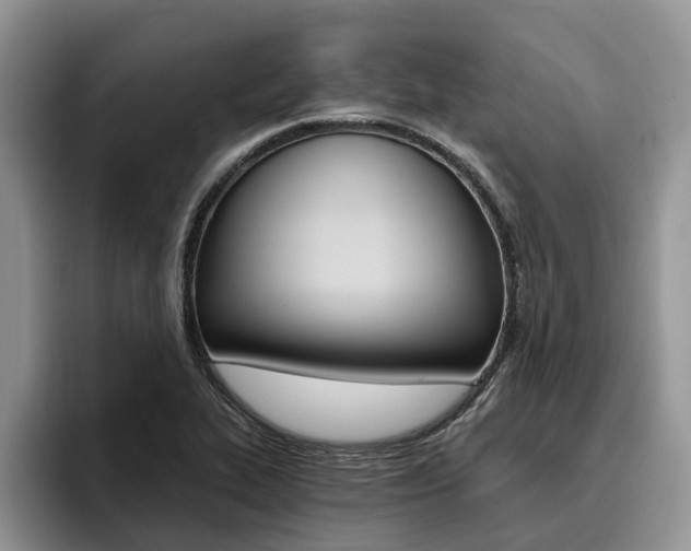 X0000096181319200801180842