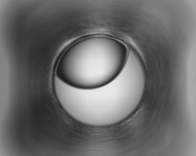 X0000096181320200801180842