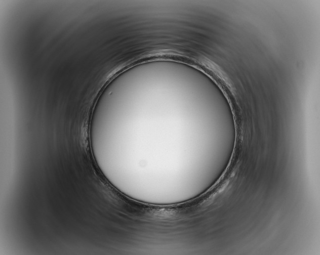 X0000096181321200801180842
