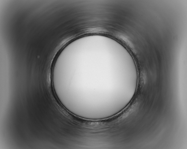 X0000096181322200801180842