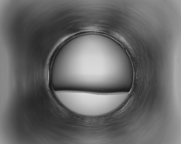 X0000096181323200801180842