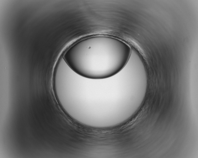 X0000096181324200801180842