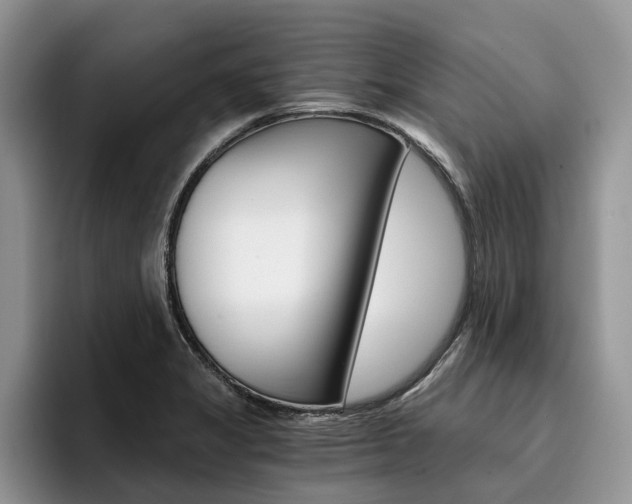 X0000096181325200801180842