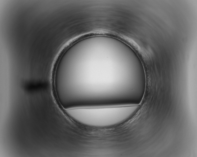 X0000096181327200801180842