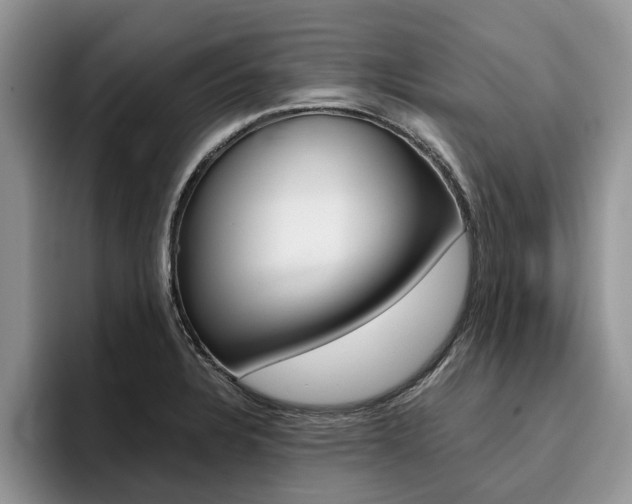 X0000096181328200801180842