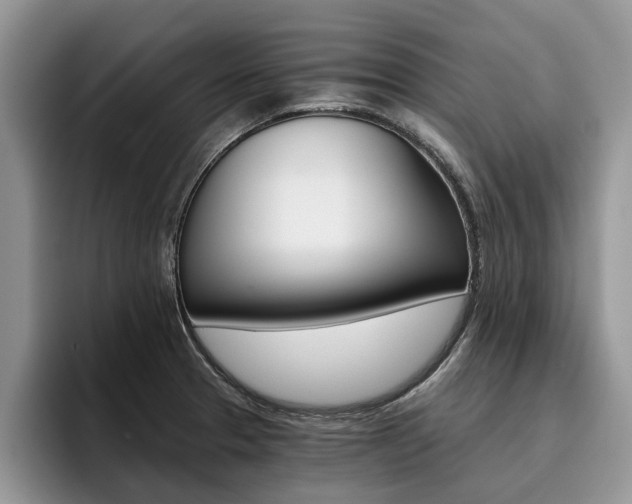 X0000096181329200801180842