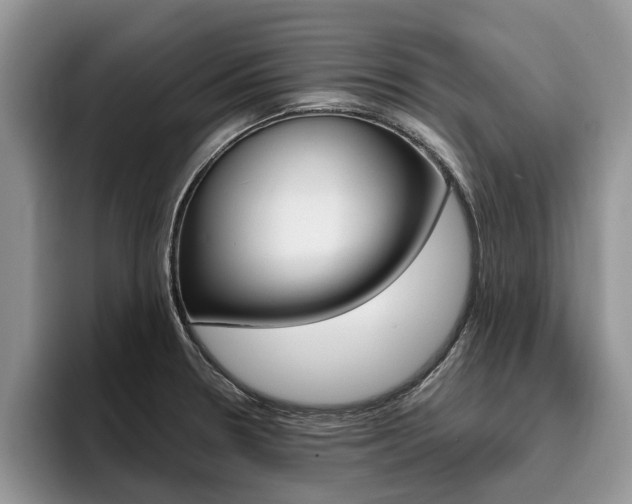 X0000096181330200801180842