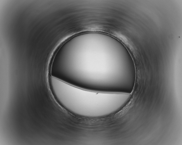 X0000096181331200801180842