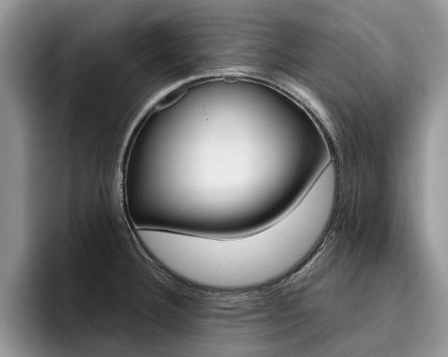 X0000096181332200801180842