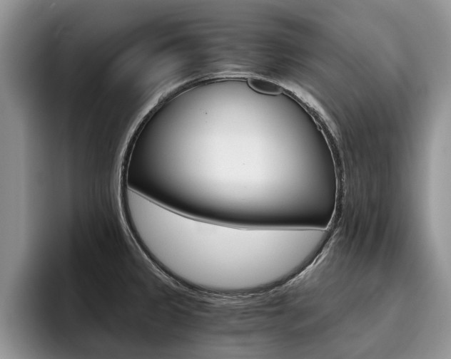 X0000096181333200801180842