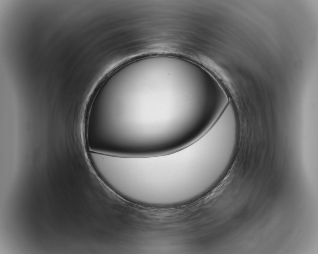 X0000096181334200801180842