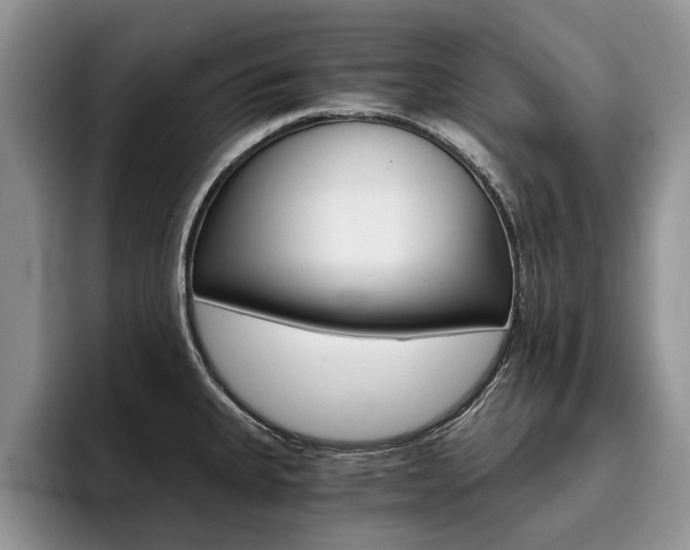 X0000096181335200801180842