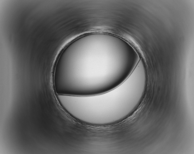 X0000096181336200801180842