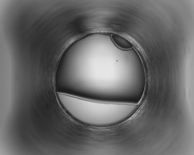 X0000096181337200801180842