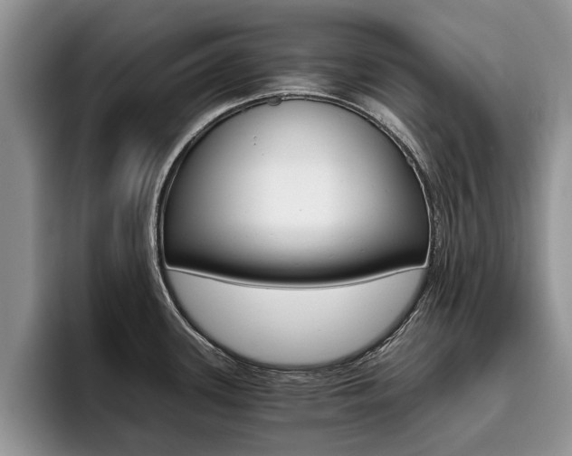X0000096181339200801180842