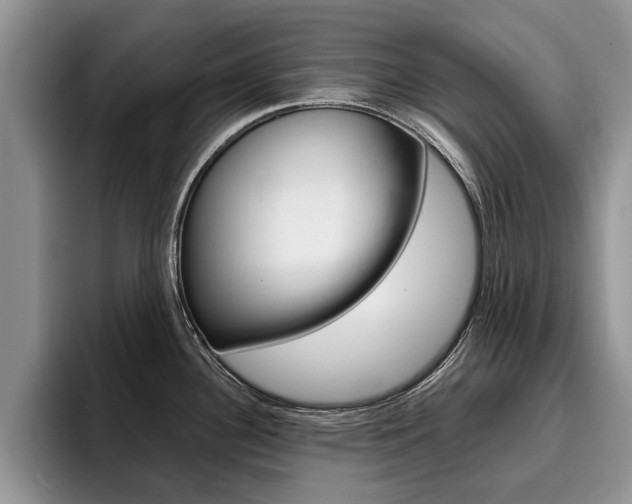 X0000096181340200801180842