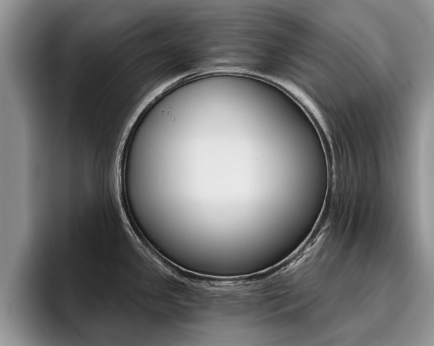 X0000096181341200801180842
