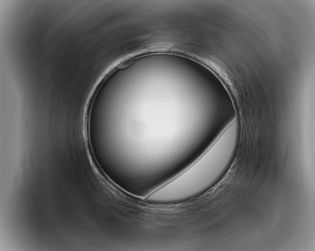 X0000096181342200801180842