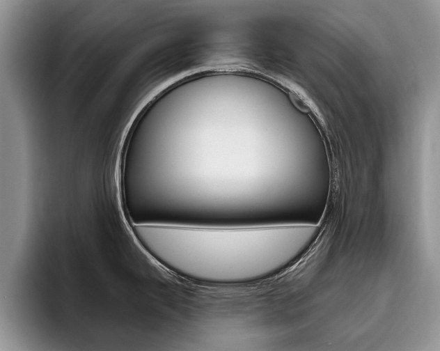 X0000096181343200801180842