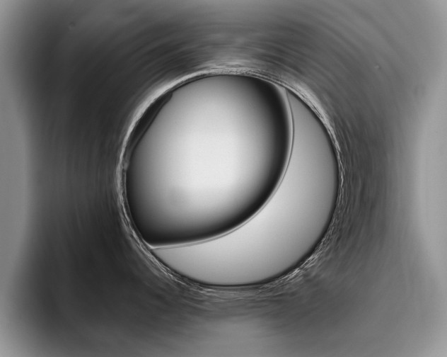 X0000096181344200801180842