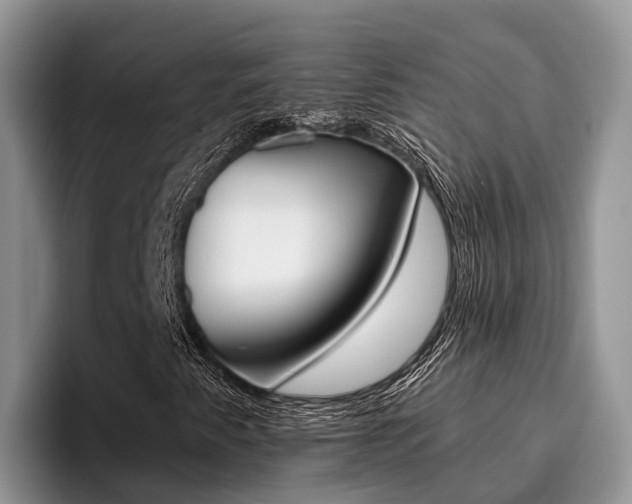 X0000096181345200801180842