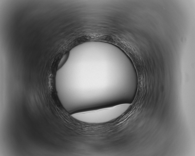 X0000096181346200801180842