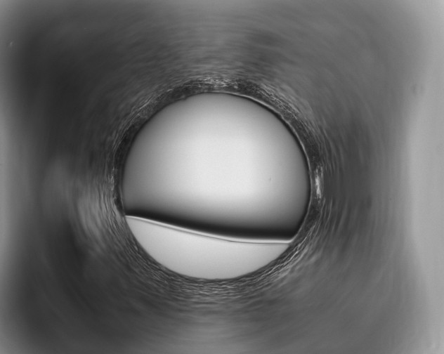 X0000096181347200801180842