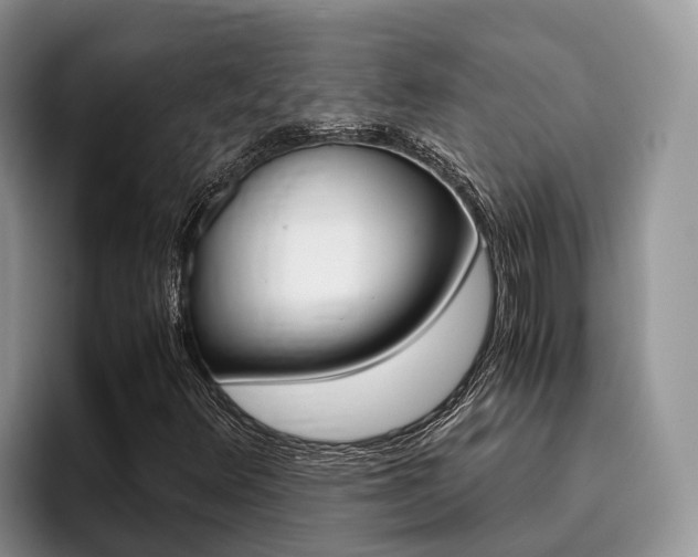 X0000096181348200801180842
