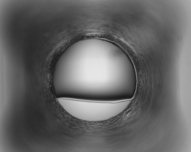 X0000096181351200801180842