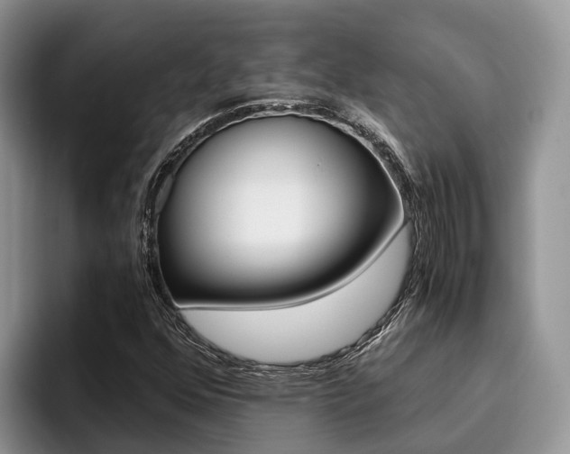 X0000096181352200801180842