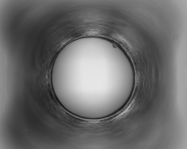X0000096181353200801180842