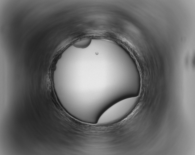 X0000096181354200801180842