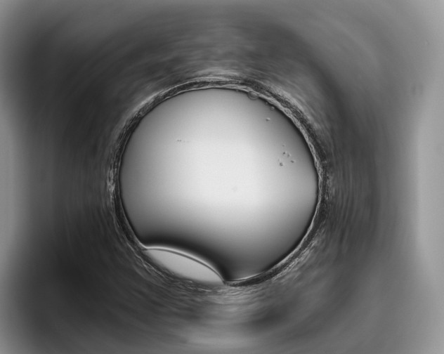 X0000096181355200801180842