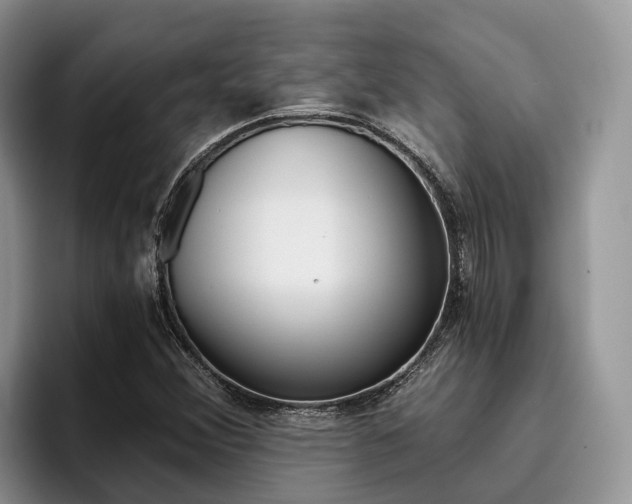 X0000096181356200801180842